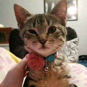 Meet your Posher, Julia